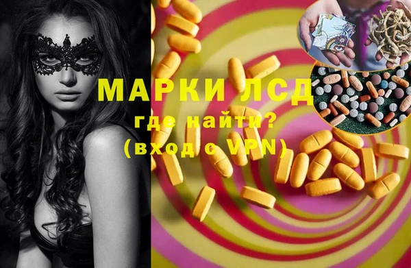 индика Баксан