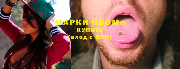 индика Баксан