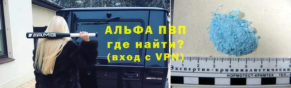 индика Балахна