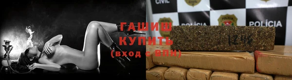 индика Баксан