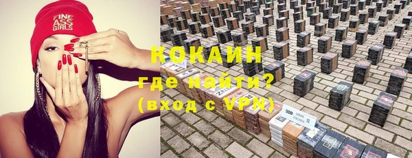 индика Балахна