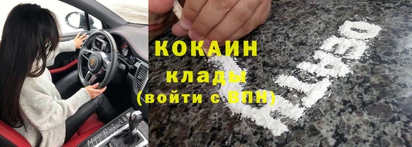 индика Балахна