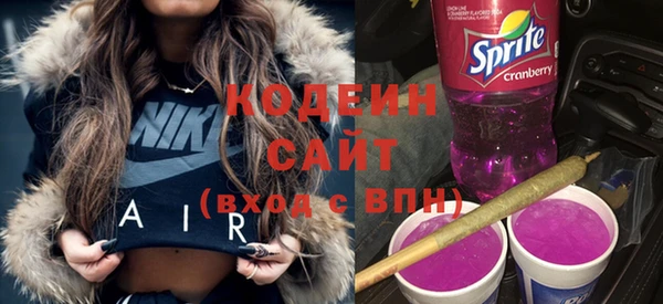 индика Баксан