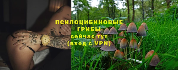 хмурый Балабаново