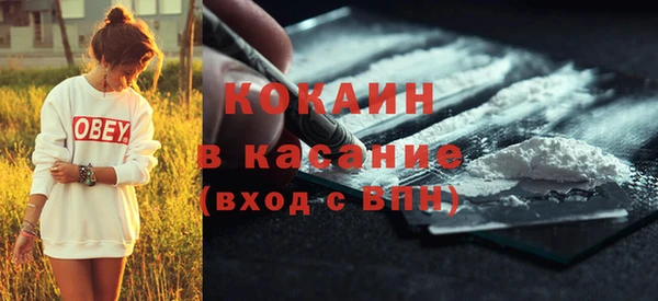 индика Балахна