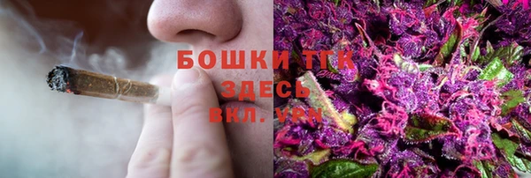 хмурый Балабаново