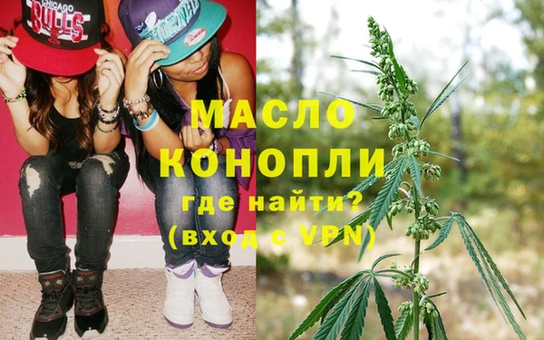 индика Баксан