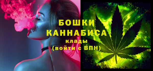 индика Баксан
