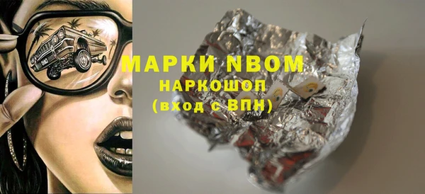 индика Балахна