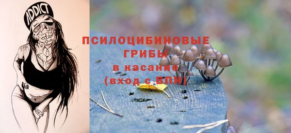 хмурый Балабаново